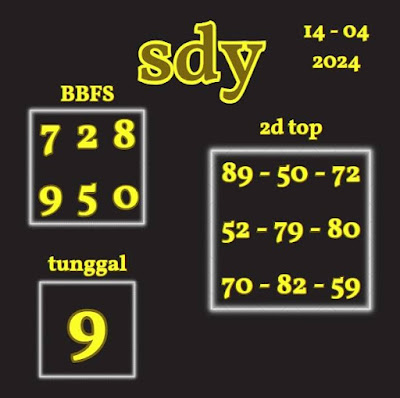 SYAIR SDY VIP